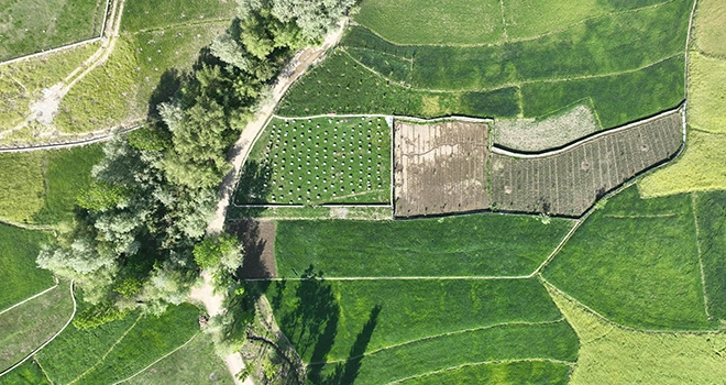 Vermessung Schmid-Luftaufnahme von Wiesen
